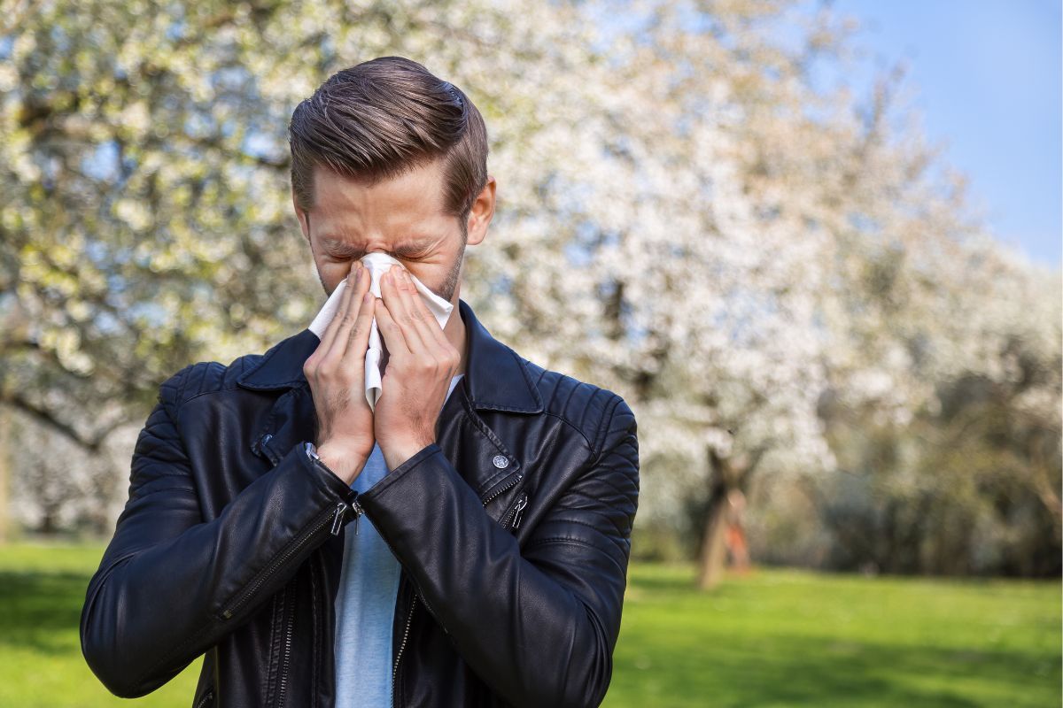 Co pyli w marcu przewodnik dla alergików dotyczący pyłków drzew
