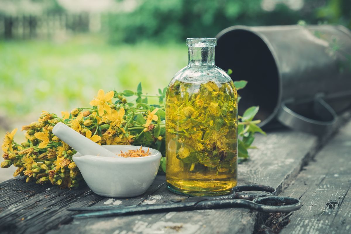 St. John's Wort and drug interactions and their risks to patient health