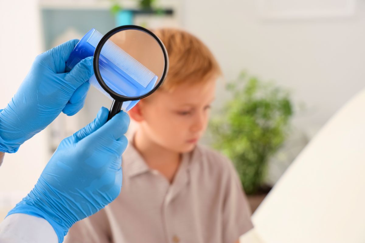 Symptoms of head lice in children and recognition of lice and nits on the head