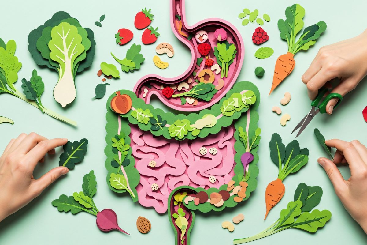 gut microbiota influences mental health, immunity, and wellbeing