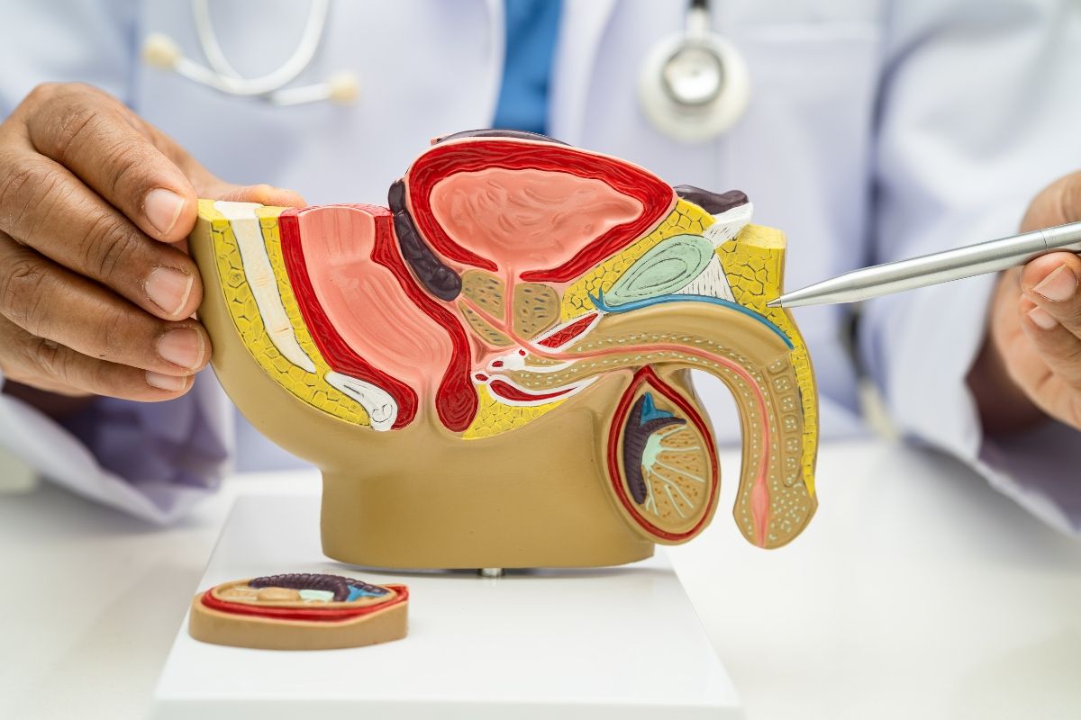 Prostate enlargement – symptoms and causes of benign prostatic hyperplasia